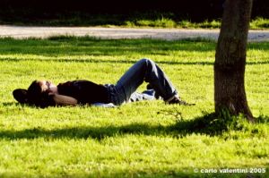 relax_parco
