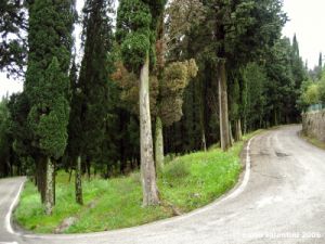 settignano03