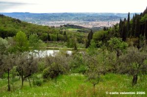 settignano04