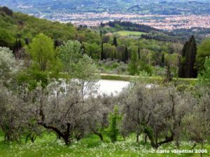 settignano06