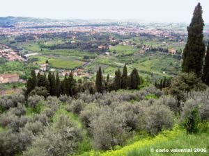 settignano09