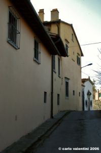 terzolle15
