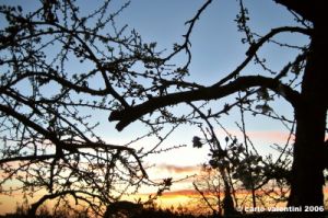 tramonto_susino1