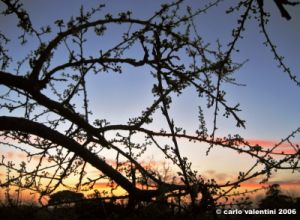 tramonto_susino3