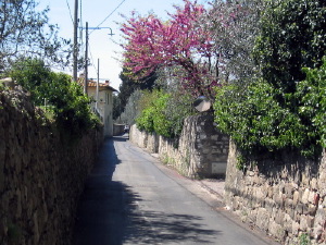 via_del_guarlone2_040422
