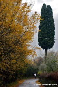 via_delle_campora12