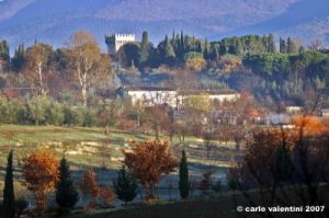 via_delle_campora14