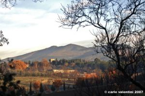 via_delle_campora15