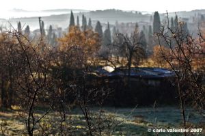 via_delle_campora22