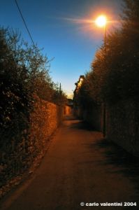 via_guarlone2_041120