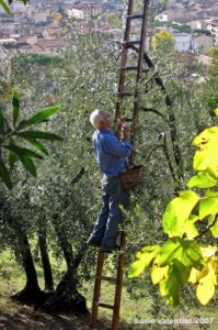 via_piazzola05