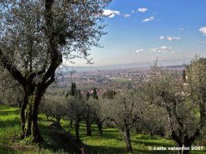 via_vicchio_e_paterno01