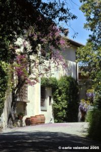 viale_colli2