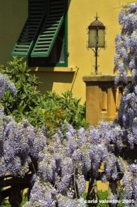 viale_colli4