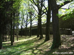 viale_colli6