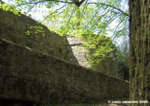 viale_colli7