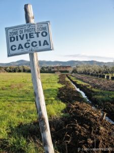 viale_pian_di_ripoli008