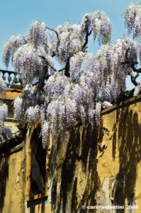 villa_bellavista6