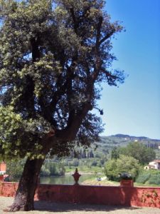 villa_la_massa16_040520