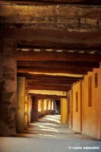 brisighella316_48