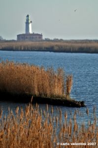 delta_po_gnocca07