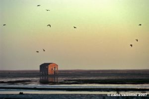 delta_po_gnocca49