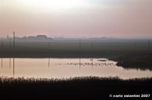 milano_marittima02