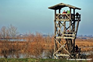 ravenna_marina_romea002