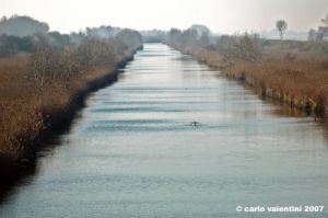ravenna_marina_romea004