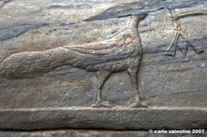 ravenna_san_vitale003