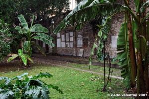 ravenna_sapollinare_nuovo003