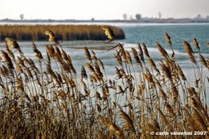 ravenna_valli_comacchio001