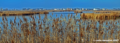 ravenna_valli_comacchio002