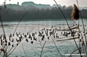 ravenna_valli_comacchio006