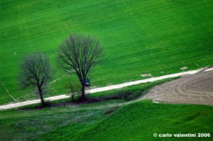sasso_marconi03