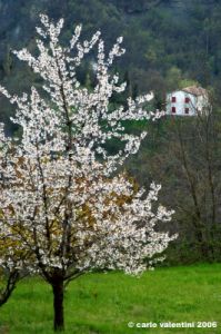 sasso_marconi06