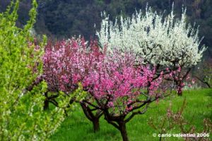 sasso_marconi09