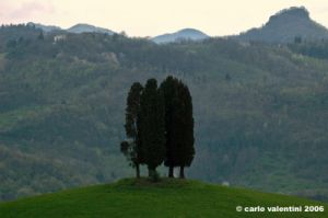 sasso_marconi16