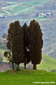sasso_marconi18