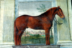 palazzo_te_mantova13