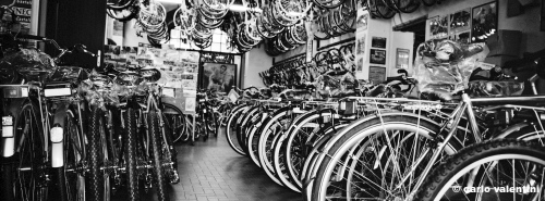 bici_lucca356_116
