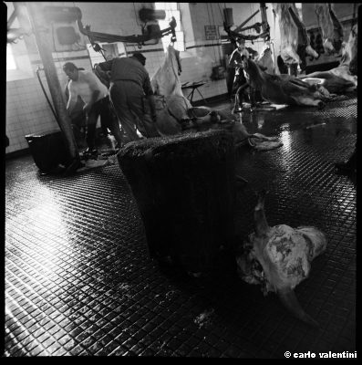 mattatoio10_309