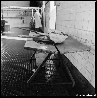 mattatoio11_101