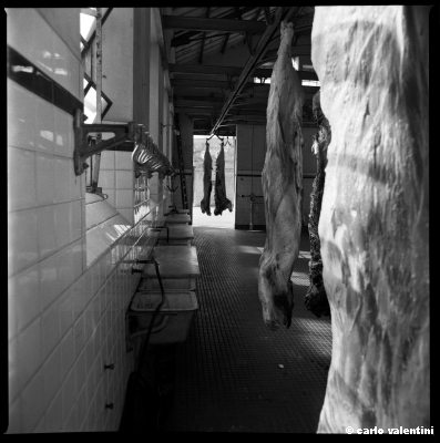 mattatoio11_411