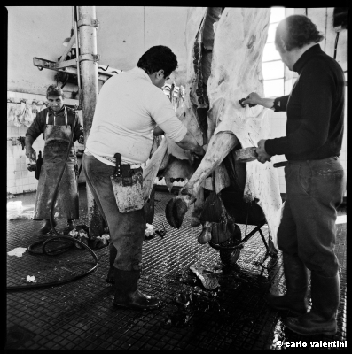 mattatoio12_205