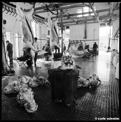 mattatoio12_307