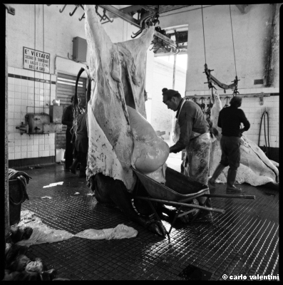 mattatoio12_308