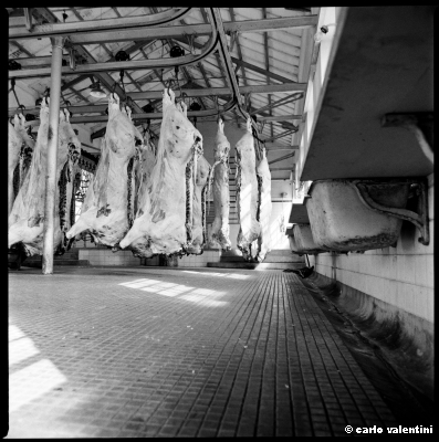 mattatoio12_309