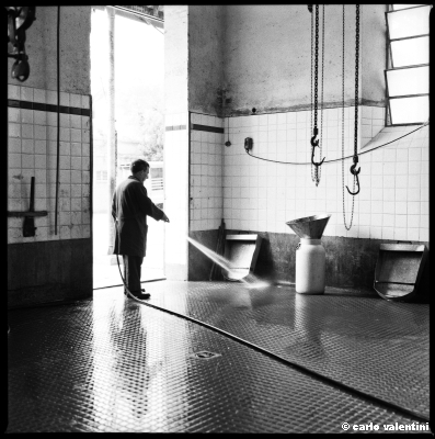 mattatoio13_311