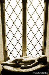 siena048_313